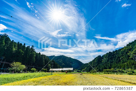 在岐阜和莫奈的池塘中漫步 在岐阜和莫奈的池塘中漫步 72865387