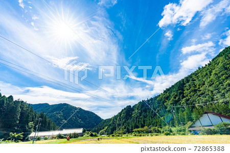 在岐阜和莫奈的池塘中漫步 72865388