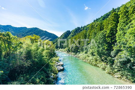 在岐阜和莫奈的池塘中漫步 72865390