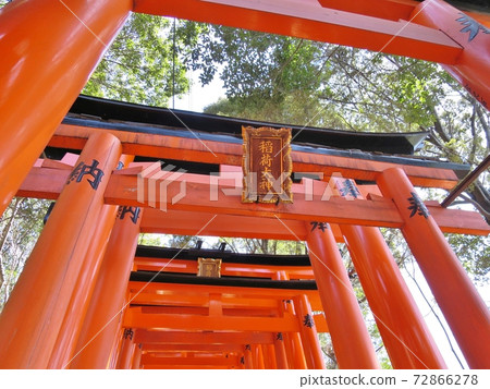 Fushimi Inari Shrine  72866278
