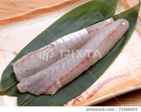 高知生魚片 照片素材 圖片 圖庫