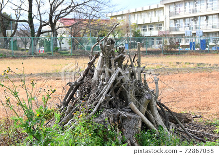 Firewood in front of elementary school Firewood in front of elementary school 72867038