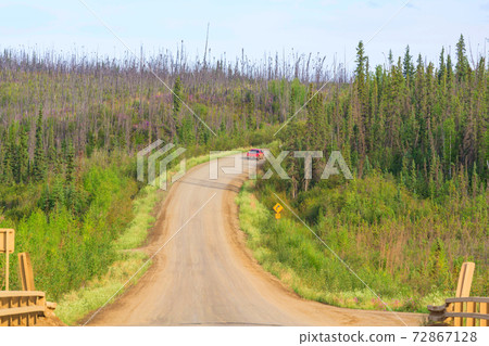 Road in Alaska 72867128