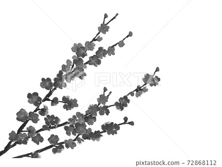 Ume Ume分支新年賀卡材料單調白色背景與副本空間[水墨風格水彩插圖] 72868112