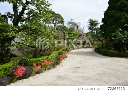 我去了23號湯神寺 我去了23號湯神寺 72868313
