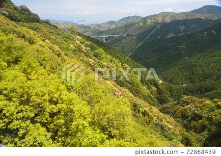 Looking toward Osakadanibashi from around Nanako Pass (Nakatosa Town, Takaoka District, Kochi Prefecture) Looking toward Osakadanibashi from around Nanako Pass (Nakatosa Town, Takaoka District, Kochi Prefecture) 72868439