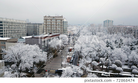Trees covered with snow, urban environment. Trees covered with snow, urban environment. 72868474