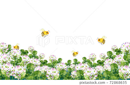 Watercolor illustration of clover and bees Watercolor illustration of clover and bees 72868635