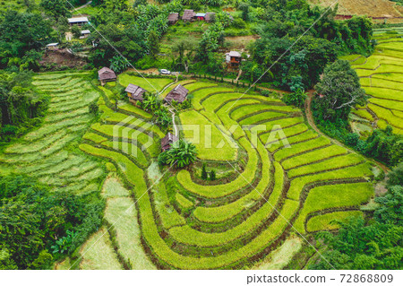 Rice Terraces in Doi inthanon national park in chiang Mai province, Thailand 72868809
