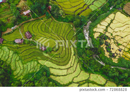 Rice Terraces in Doi inthanon national park in chiang Mai province, Thailand 72868828