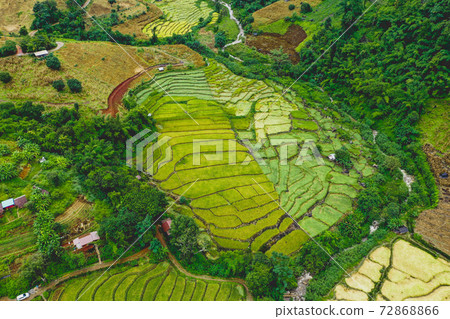 Rice Terraces in Doi inthanon national park in chiang Mai province, Thailand Rice Terraces in Doi inthanon national park in chiang Mai province, Thailand 72868866