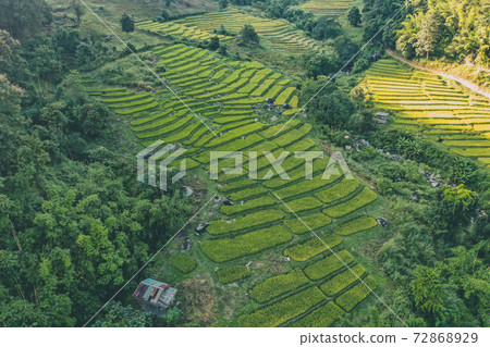 Aerial view of Nang Lae Nai Rice Terraces in Chiang Rai, Chiang Mai province, Thailand 72868929