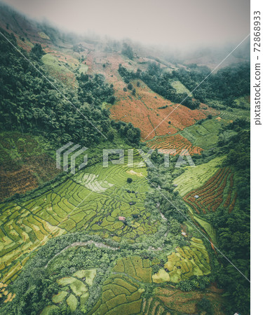 Rice Terraces in Doi inthanon national park in chiang Mai province, Thailand Rice Terraces in Doi inthanon national park in chiang Mai province, Thailand 72868933