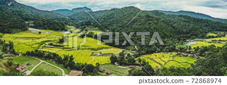 Rice Terraces in Doi inthanon national park in chiang Mai province, Thailand 72868974