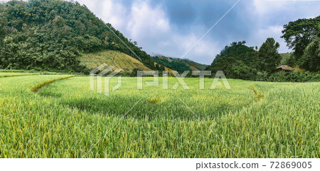 Rice Terraces in Doi inthanon national park in chiang Mai province, Thailand Rice Terraces in Doi inthanon national park in chiang Mai province, Thailand 72869005