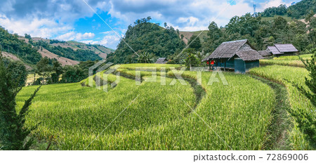 Rice Terraces in Doi inthanon national park in chiang Mai province, Thailand Rice Terraces in Doi inthanon national park in chiang Mai province, Thailand 72869006