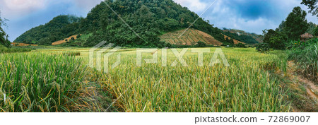 Rice Terraces in Doi inthanon national park in chiang Mai province, Thailand Rice Terraces in Doi inthanon national park in chiang Mai province, Thailand 72869007