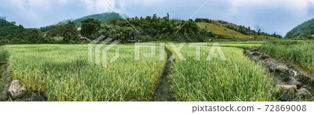 Rice Terraces in Doi inthanon national park in chiang Mai province, Thailand Rice Terraces in Doi inthanon national park in chiang Mai province, Thailand 72869008