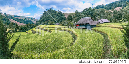 Rice Terraces in Doi inthanon national park in chiang Mai province, Thailand Rice Terraces in Doi inthanon national park in chiang Mai province, Thailand 72869015