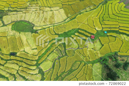 Rice Terraces in Doi inthanon national park in chiang Mai province, Thailand Rice Terraces in Doi inthanon national park in chiang Mai province, Thailand 72869022