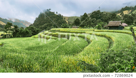 Rice Terraces in Doi inthanon national park in chiang Mai province, Thailand Rice Terraces in Doi inthanon national park in chiang Mai province, Thailand 72869024