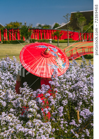 Hinoki land japan attraction in Chai Prakan District, Chiang Mai, Thailand Hinoki land japan attraction in Chai Prakan District, Chiang Mai, Thailand 72869468