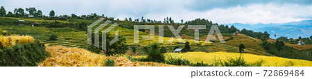 Landscape of Rice terraces on mountain at Ban Pa Pong Piang, Doi inThanon, Chiang Mai, Thailand 72869484