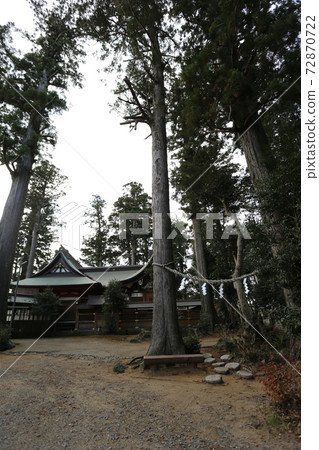 雪鬆的聖樹山倉神社的大樹 72870722