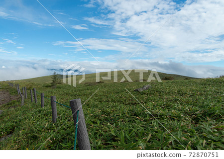 Summer Plateau 72870751