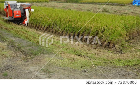 水稻收割，水稻收割景觀，農業機械化，日本農業，兼職農民，水稻種植，收割，豐收作物，缺乏後繼者，日本秋季 72870806