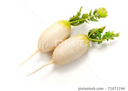 Falling radish Falling radish 72871194