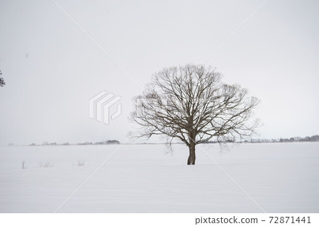 青森鶴舞舞橋的雪景 青森鶴舞舞橋的雪景 72871441