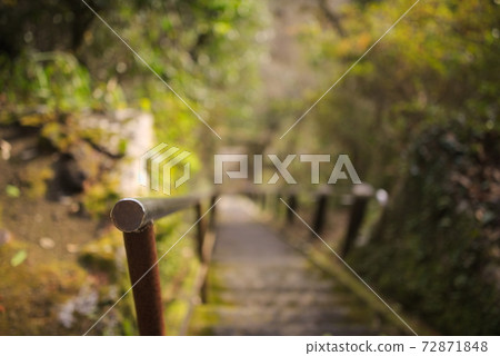 文吾小野市(三重市)須S石佛 文吾小野市(三重市)須S石佛 72871848