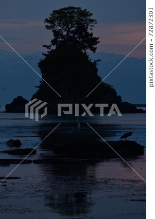 From Amaharashi coast 72872301