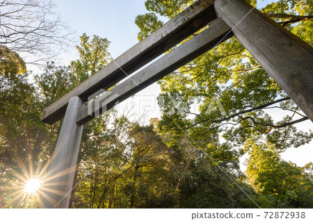 鳥居和太陽 72872938