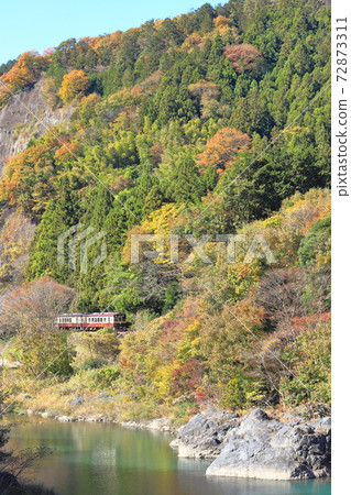 Watarase Valley Railway "Train that goes through the Watarase River and autumn leaves" 72873311