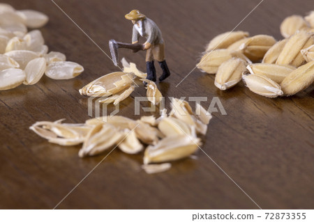 Farmer hulling rice Farmer hulling rice 72873355