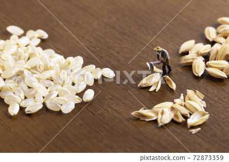 碾米的農夫 碾米的農夫 72873359