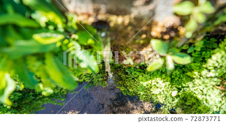 Top view of fountain stream with fresh water 72873771