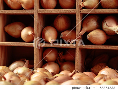Onion on a old wooden table. Onion on a old wooden table. 72873888