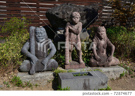From Daio Wasabi Farm From Daio Wasabi Farm 72874677