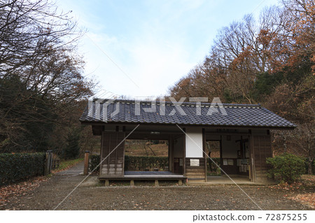 神奈川縣橫濱市戶塚區里佐藤山岡岡公園的冬天 72875255