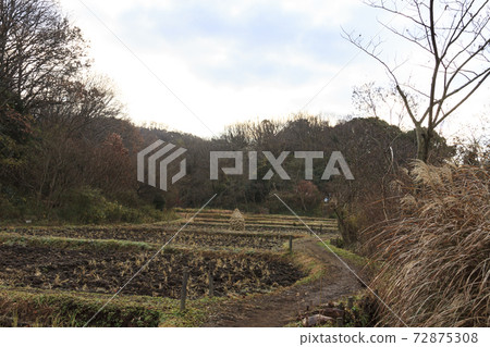 神奈川縣橫濱市戶塚區里佐藤山岡岡公園的冬天 神奈川縣橫濱市戶塚區里佐藤山岡岡公園的冬天 72875308