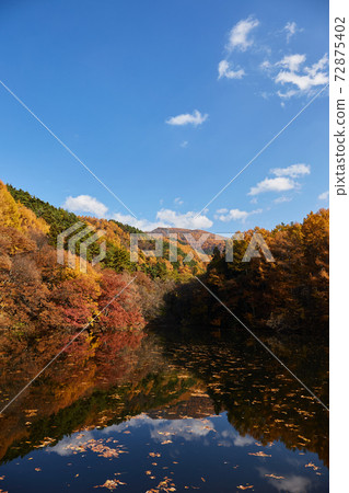長野縣鹽澤市大澤岸邊的湖面上倒映著秋天的樹木 長野縣鹽澤市大澤岸邊的湖面上倒映著秋天的樹木 72875402