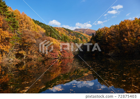 長野縣鹽澤市大澤岸邊的湖面上倒映著秋天的樹木 72875403