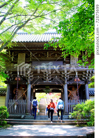 [Hiroshima] Misen Miyajima in early summer, worshipers passing through the Niomon Gate of Daishoin 72875699