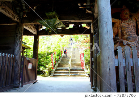 [Hiroshima] Misen Miyajima in early summer, a staircase with a large general young sutra tube seen from the Niomon gate of Daishoin 72875700