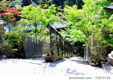 [Hiroshima] Miyajima Misen Daishoin in early summer, a nun car overlooking from the front of the nun 72875726