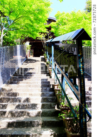 [Hiroshima] Miyajima Misen Daishoin in early summer, a nun looking up from below and a nun 72875728
