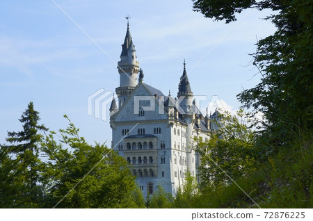 Germany Neuschwanstein Castle Germany Neuschwanstein Castle 72876225